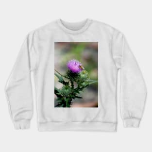 Thistle With Bee Crewneck Sweatshirt